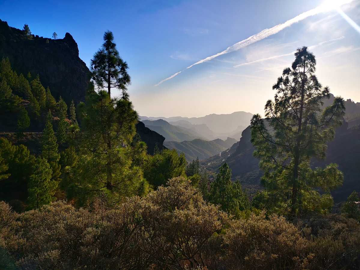 gran-canaria-nähtävyydet-puerto-rico-majoitus-hotelli-puerto-de-mogan-meloneras-9