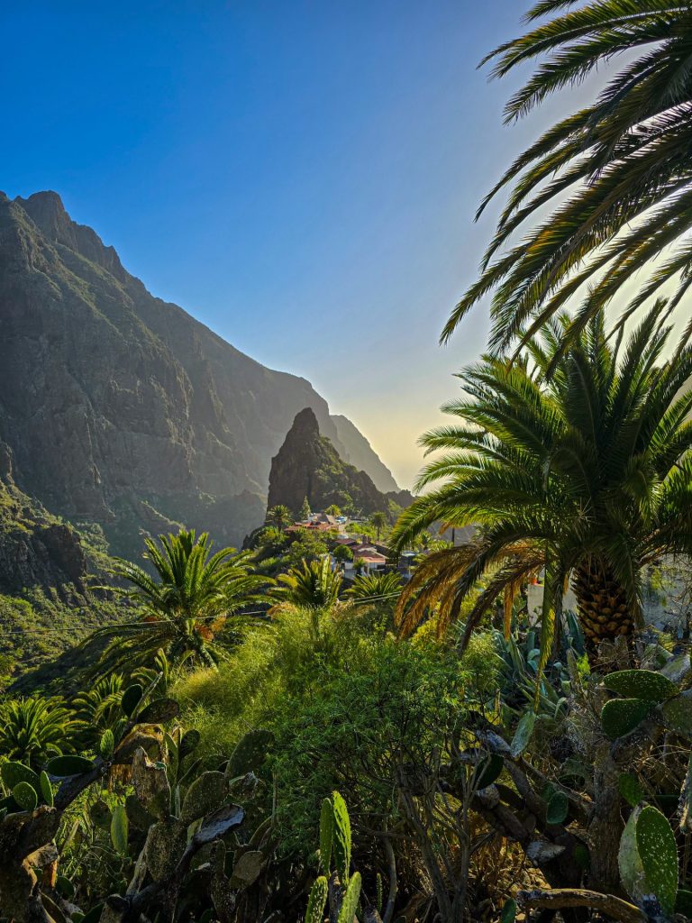 teneriffa-nahtavyydet-autolla-pohjois-etelä-teneriffa-kokemuksia