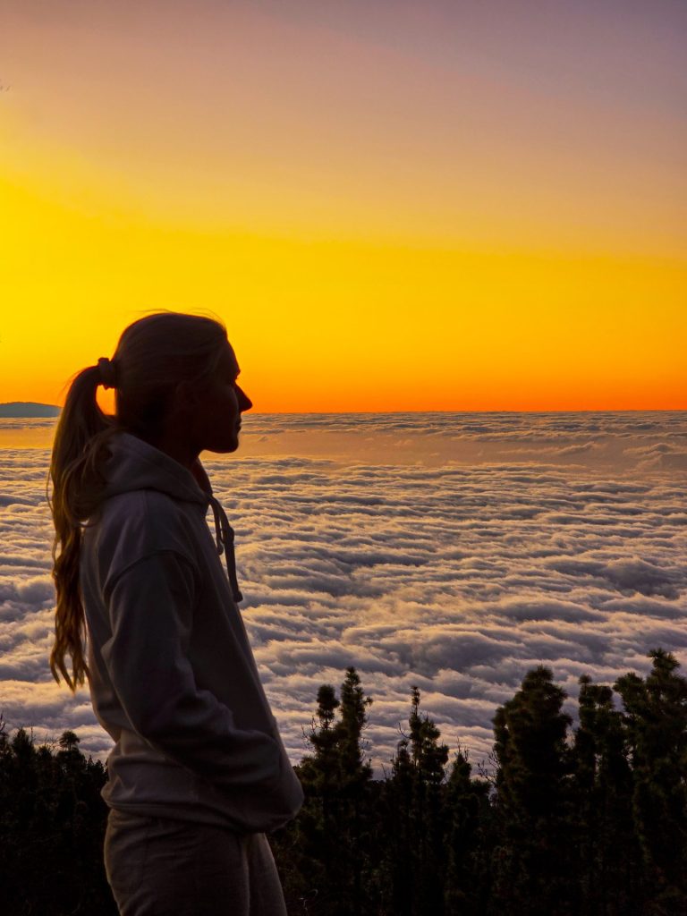 teiden-kansallispuisto-teneriffa-hissilippu-teide-national-park-tenerife