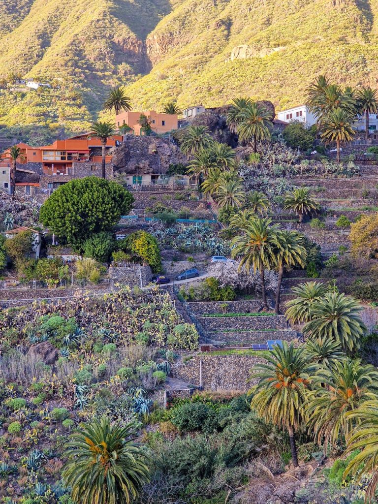 masca-valley-tenerife-teneriffa-nähtävyydet-luontokohteet-autolla